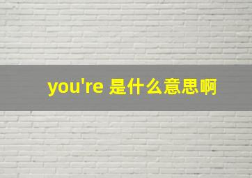 you're 是什么意思啊